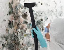 Trusted Burlington, WI Mold Removal Services Experts